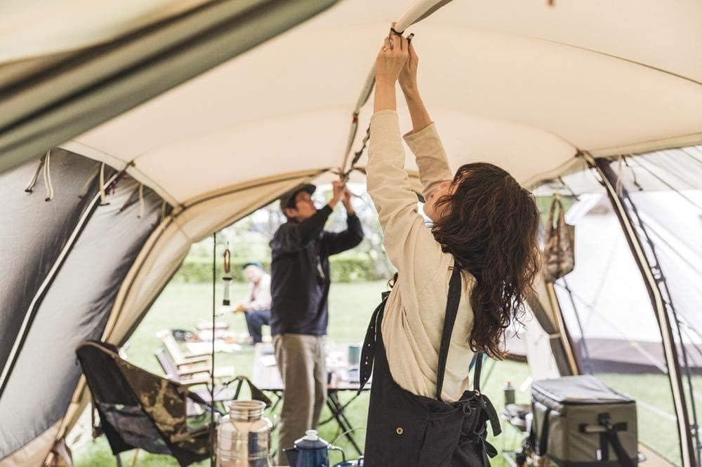 ｏｇａｗａ　２７８９　アポロンＴＣ 新品未使用