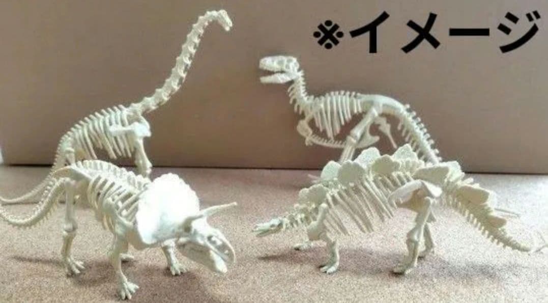 恐竜☆骨格モデル 4種セット コレクション フィギュア おもちゃ キッズ 博物館