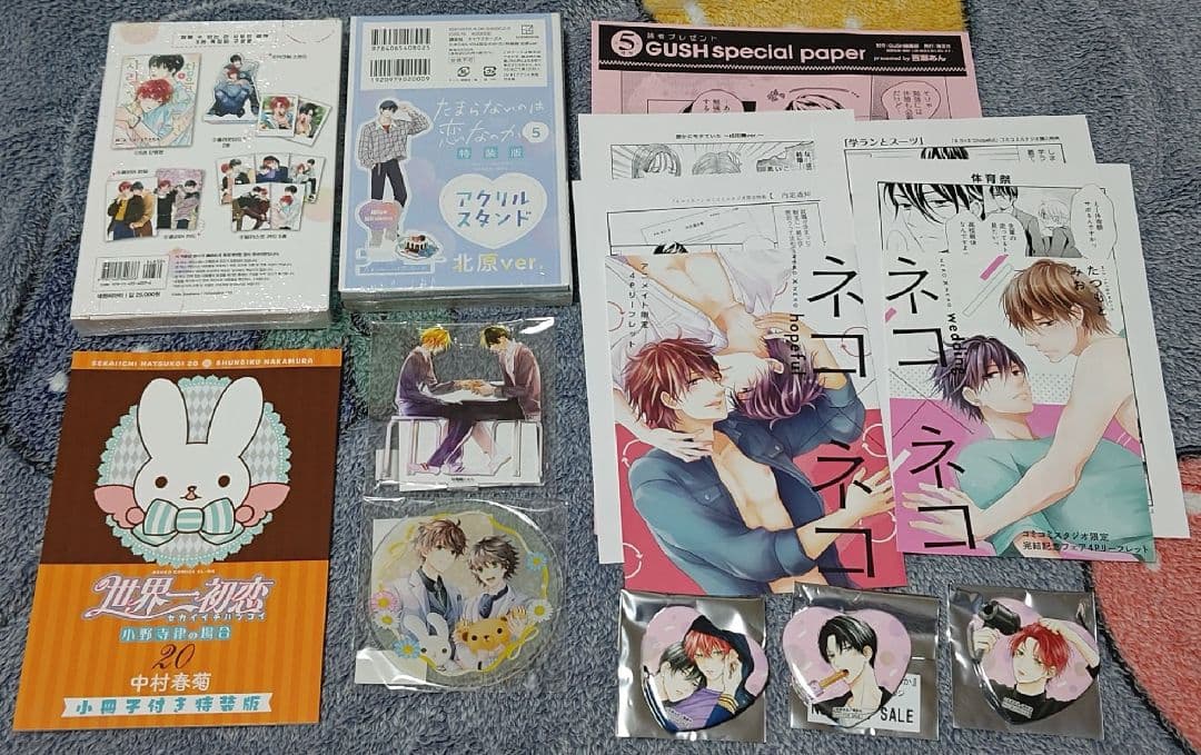 たまらないのは恋なのか　平野と鍵浦　世界一初恋　中村春菊　春園しょう　空華みあ他