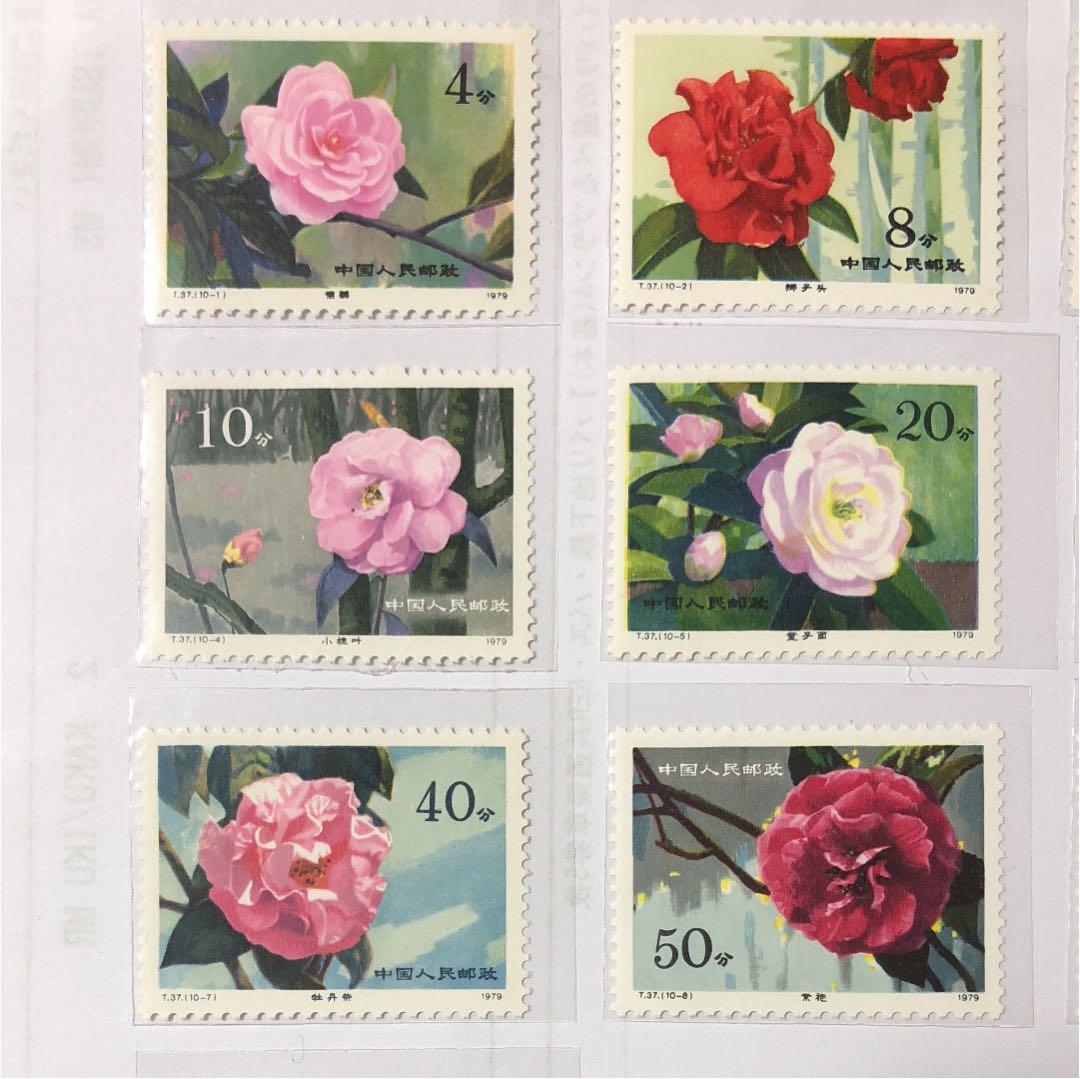 新春セール 中華人民共和国切手 山茶花 1979年 美品