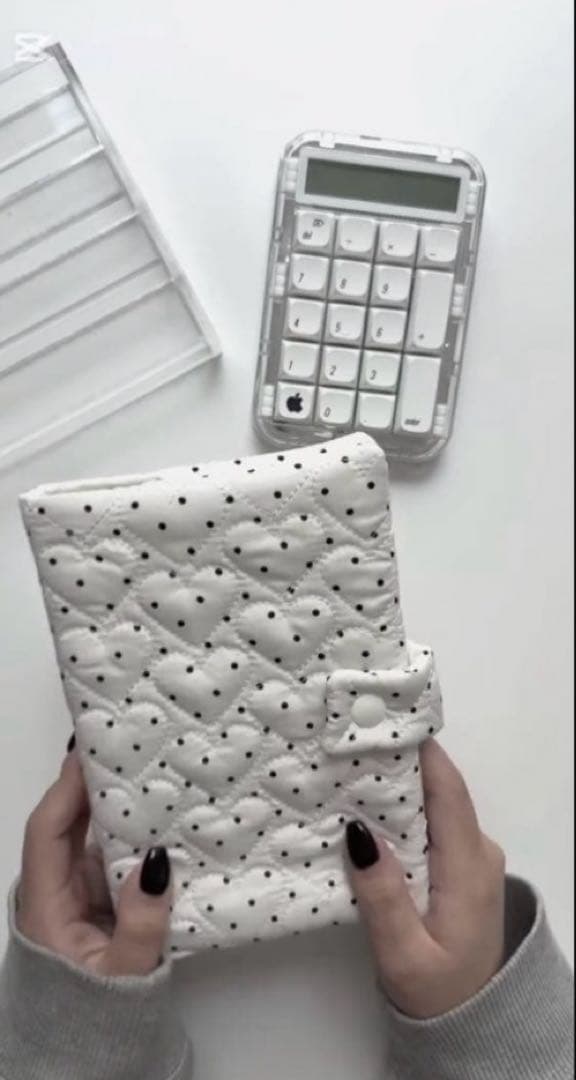 1点のみ 韓国 A6バインダー 現金 貯金 リフィル