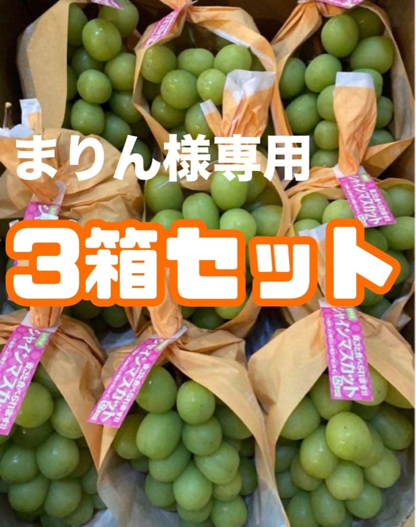 まりん　シャインマスカット3箱セット