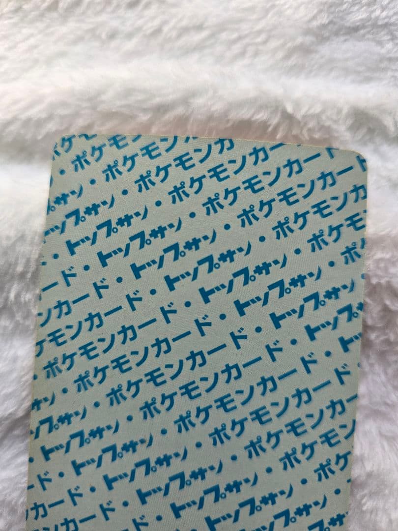 トップサン　リザードン「入札する前に必ず確認を」