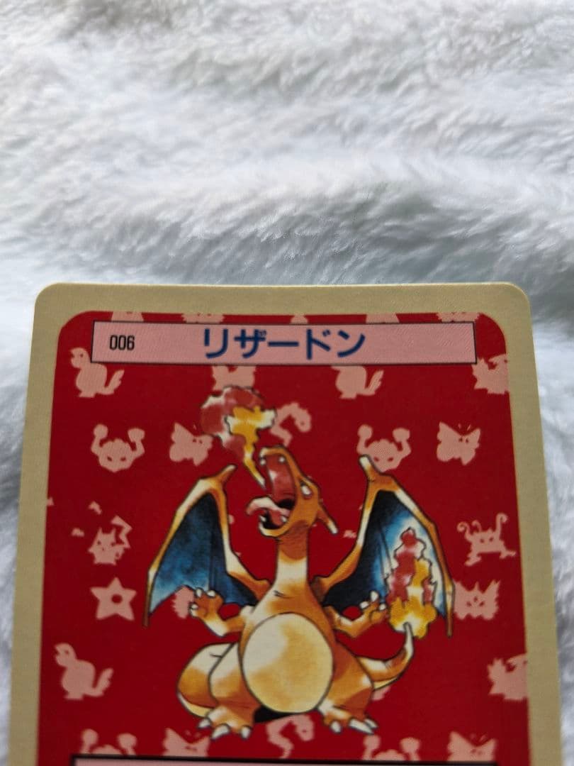 トップサン　リザードン「入札する前に必ず確認を」