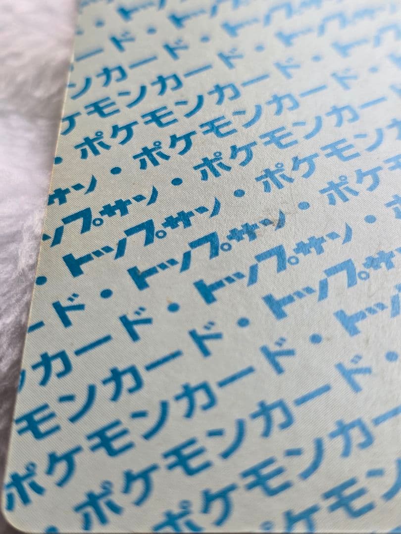 トップサン　リザードン「入札する前に必ず確認を」