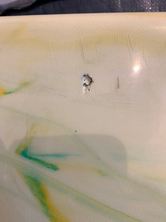 目立つ！ロングボード(*^o^*)