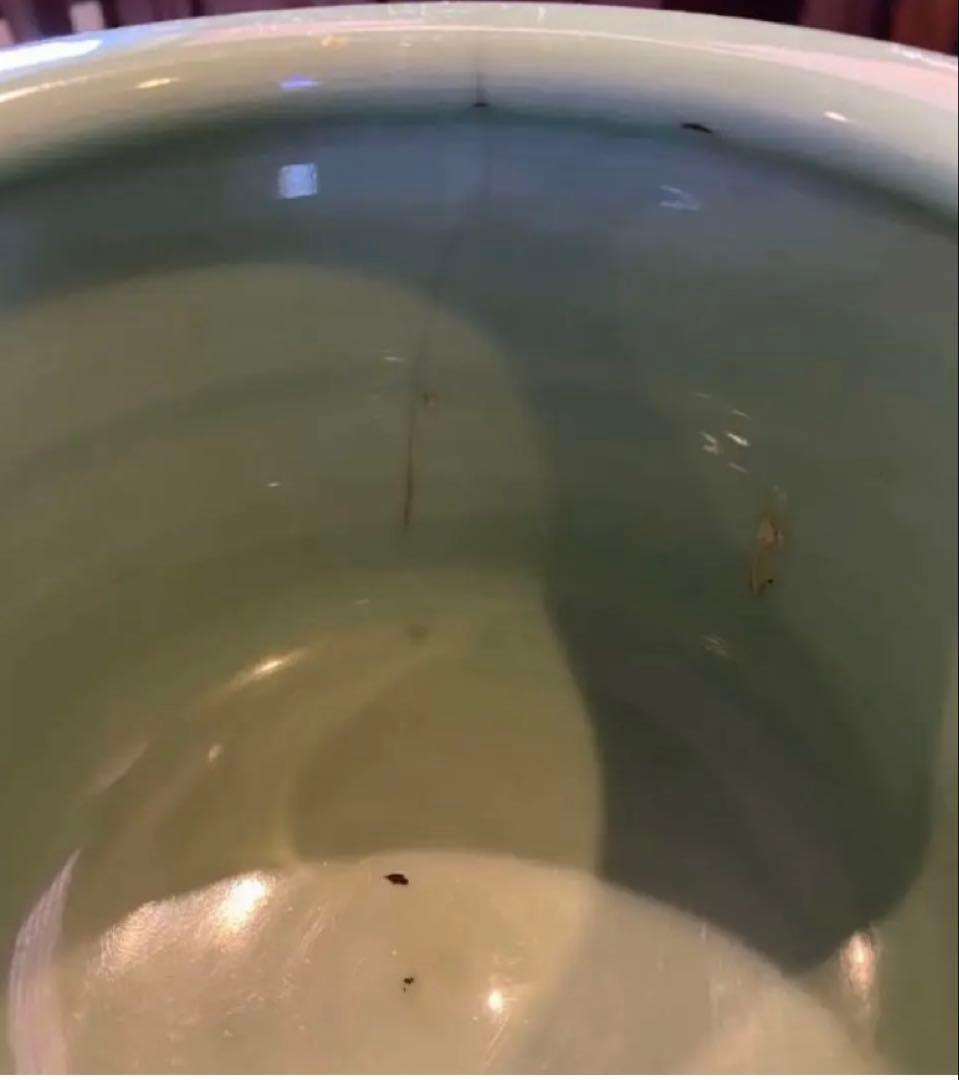 青磁三脚香炉・陶器剣山付き　２点セット ヴィンテージ　レア