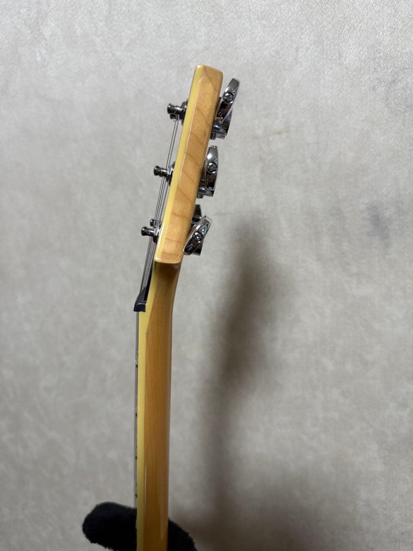 ギター PRS(Paul Reed Smith) SE Custom24 QM LTD