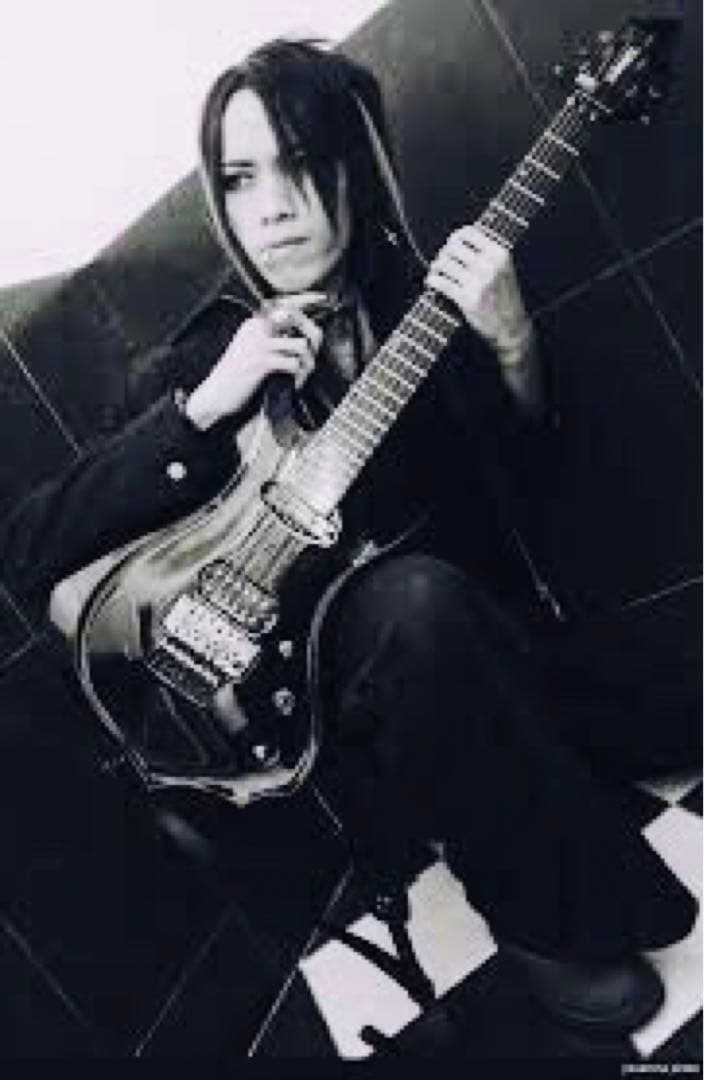 グラスルーツ　ガゼット葵モデル