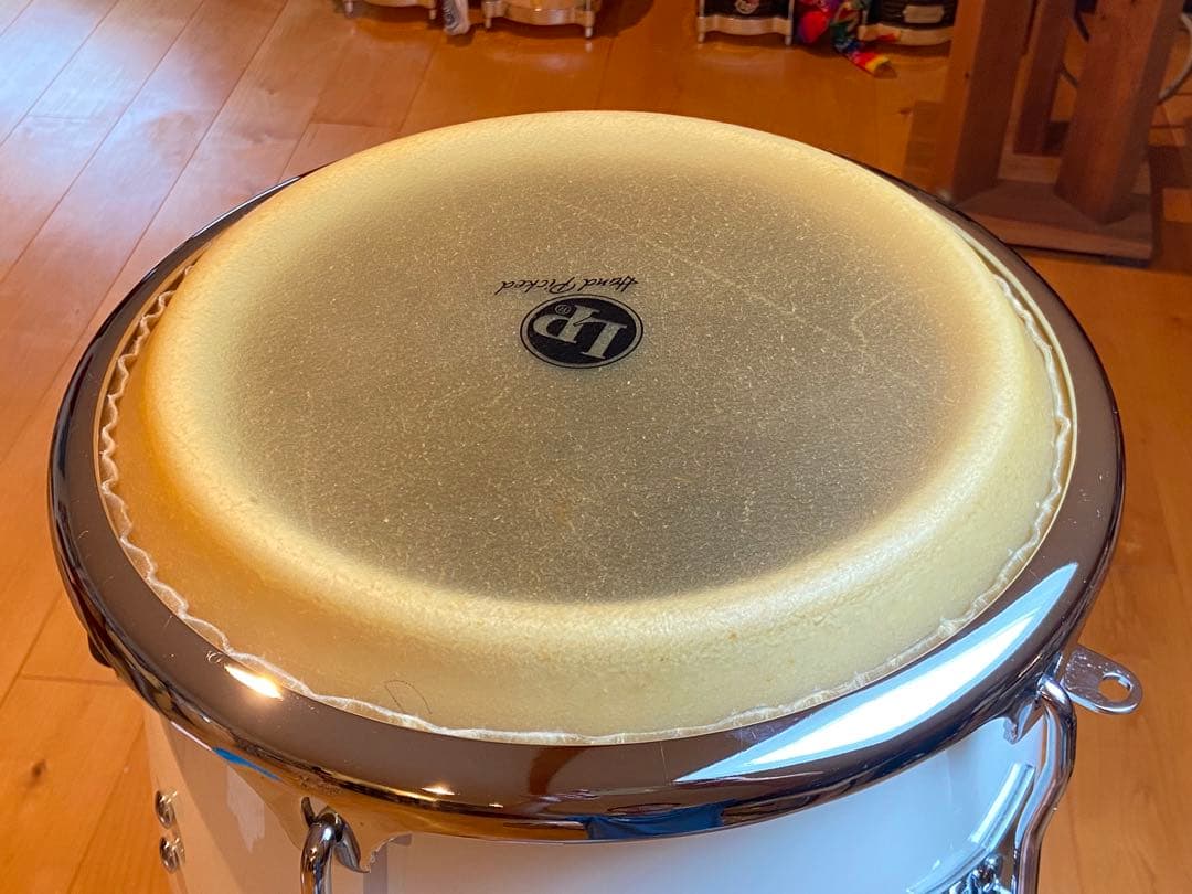 LP PatatoModel Conga キント ホワイト最終モデル 保管美品！