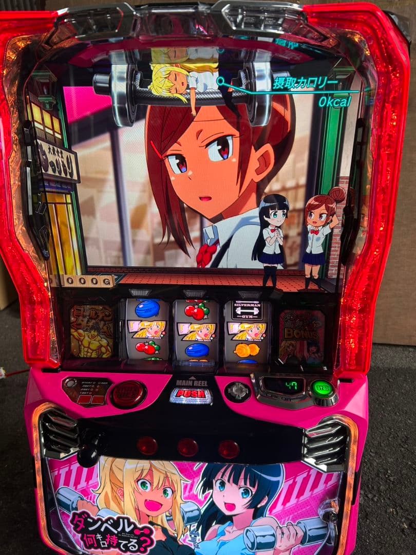 家庭用改造済み　スマスロ　Lダンベル何キロ持てる？X 送料込み