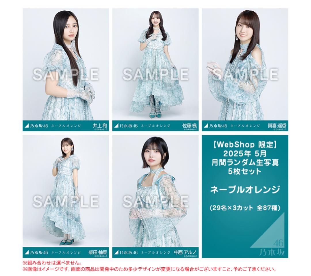 乃木坂46 生写真　ネーブルオレンジ　29名　フルコンプ　井上和　中西アルノ