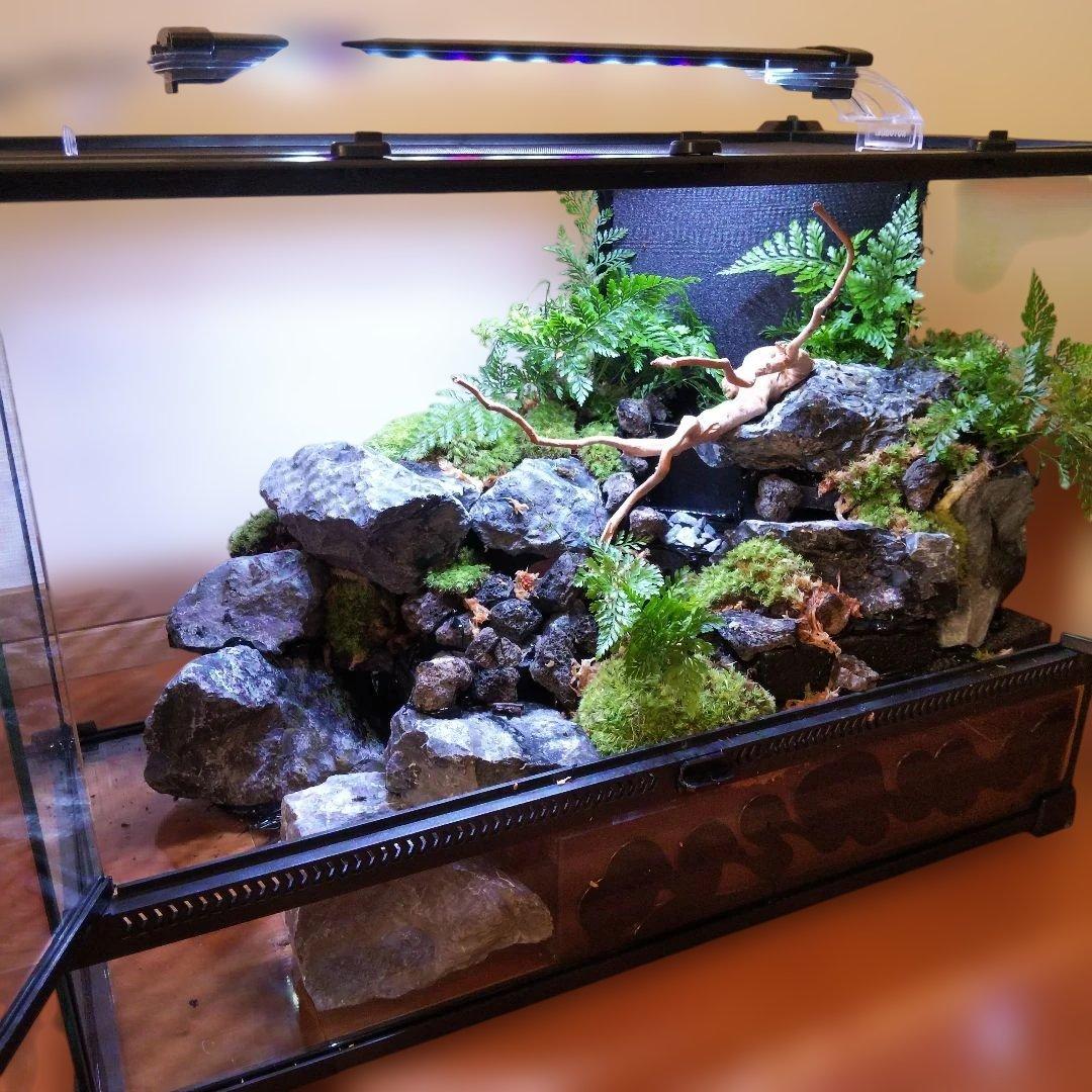 【受注生産】滝のあるアクアテラリウム　イモリウム　苔テラリウム　アクアテラリウム