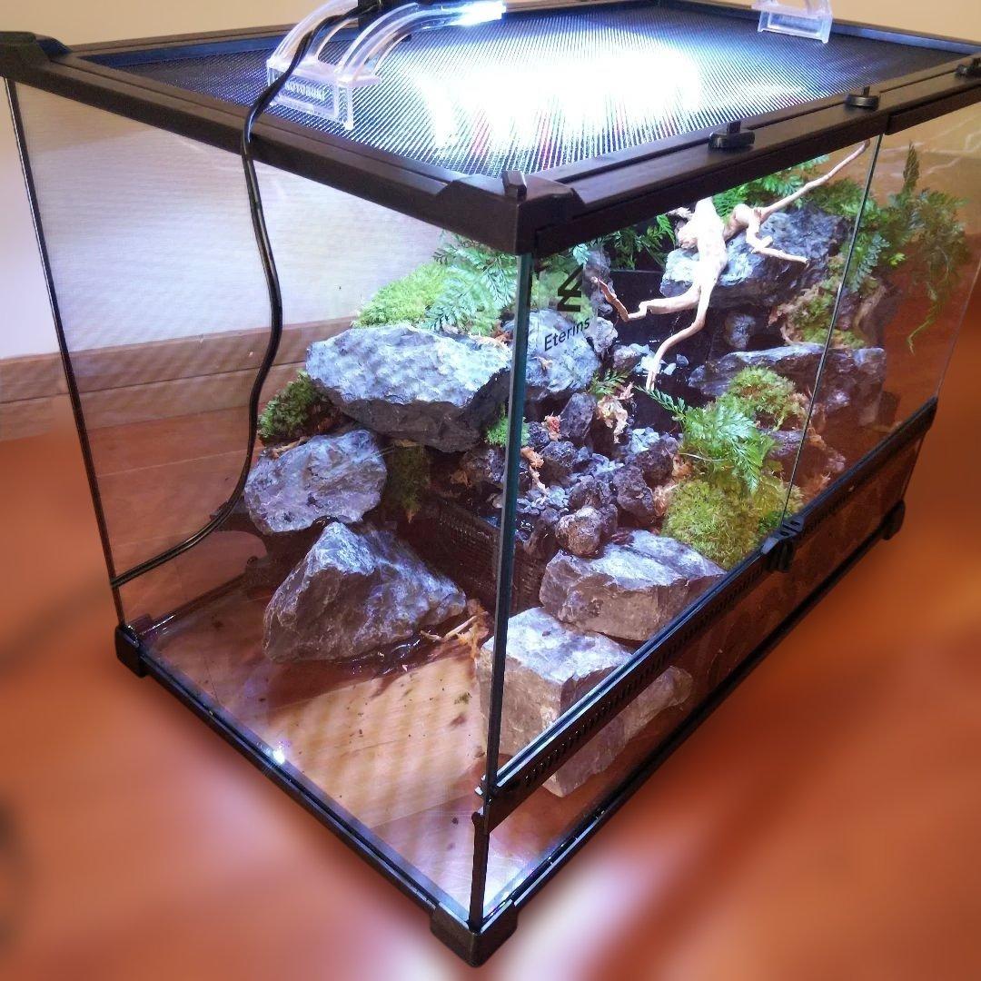【受注生産】滝のあるアクアテラリウム　イモリウム　苔テラリウム　アクアテラリウム