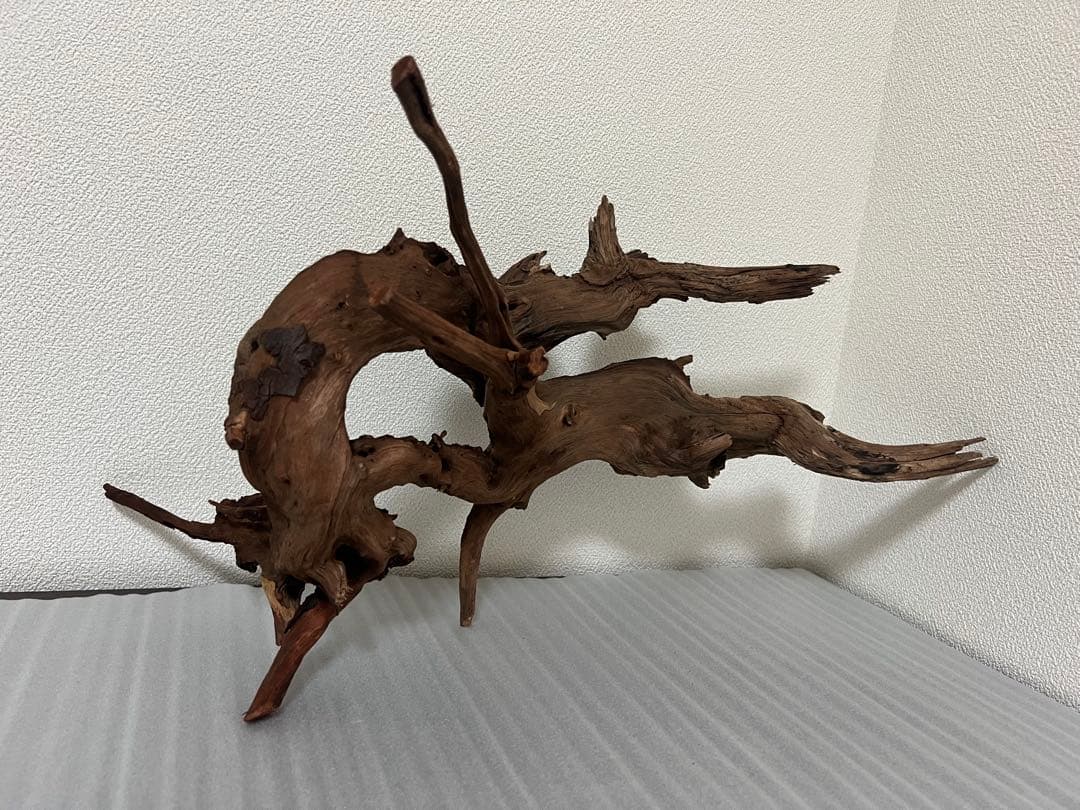 HX-076流木　ホーンウッド　マシンガンウッド　アクアリウム　ブランチウッド