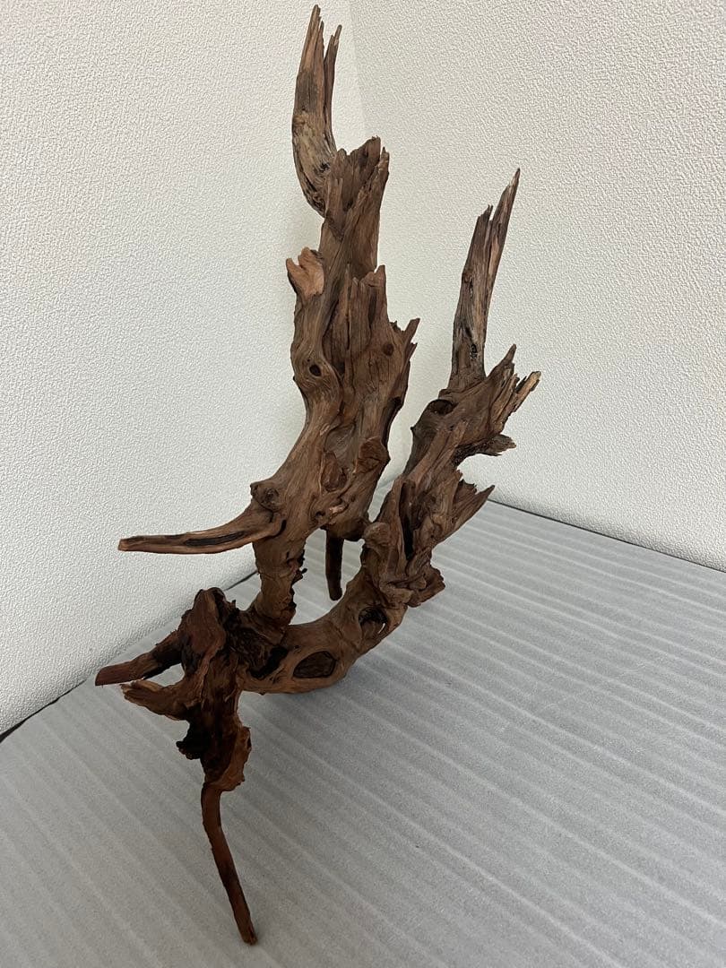 HX-076流木　ホーンウッド　マシンガンウッド　アクアリウム　ブランチウッド