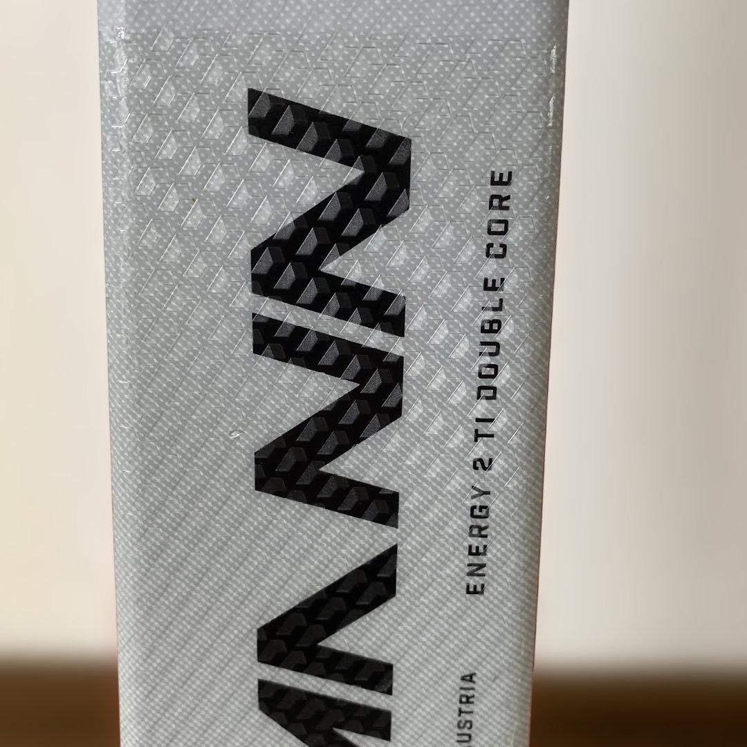 Nordica DOBERMAN スキー板 ビンディングセット