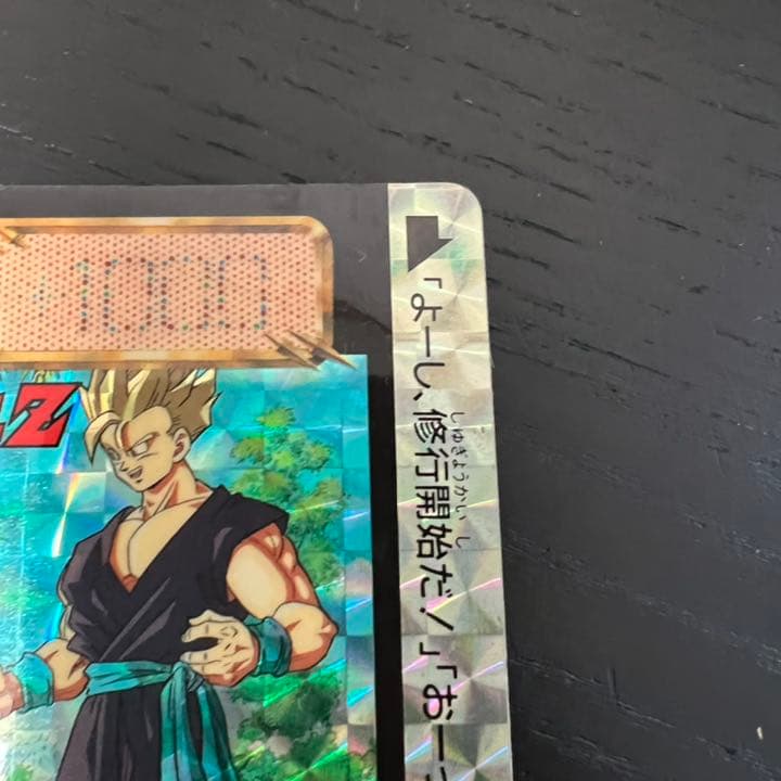 ドラゴンボールZ カードダス　631孫悟飯&悟天