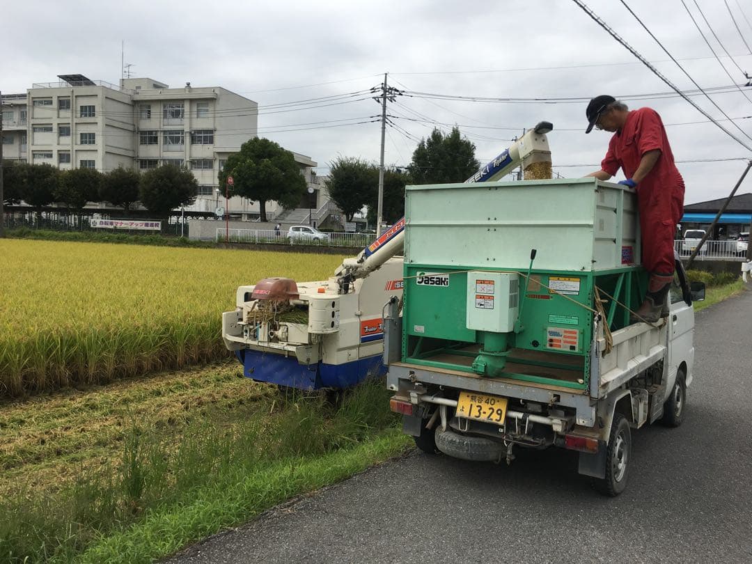 令和7年産　玄米10キロ 彩のきずな　一等米　埼玉県熊谷産　専業農家　白米も可能