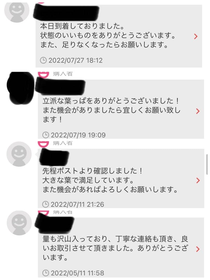 沖縄県やんばる産マジックリーフ 1kg UV殺菌灯照射済み②