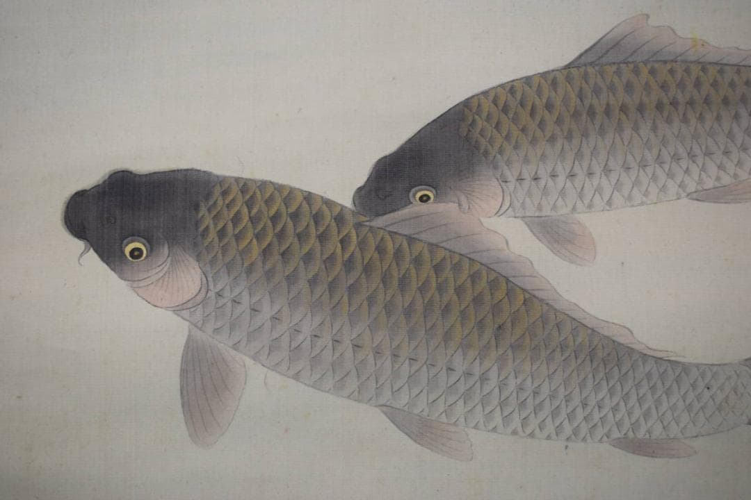 【真作】長谷川玉峰/游鯉図/菖蒲に鯉図/掛軸☆宝船☆Y-812　JM