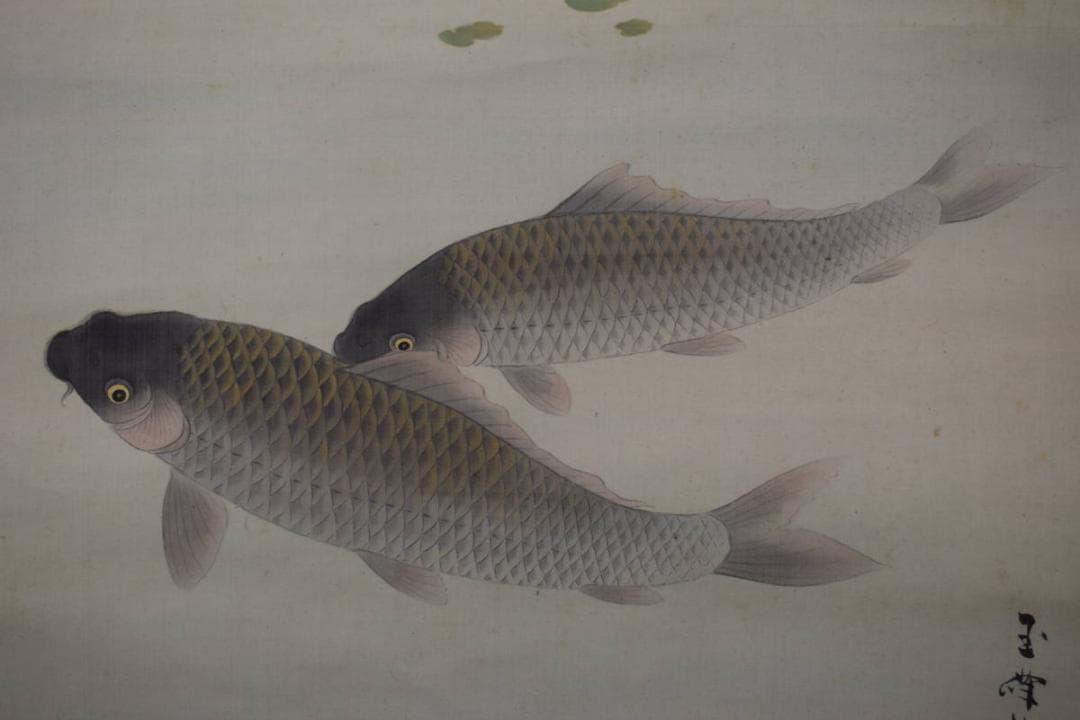 【真作】長谷川玉峰/游鯉図/菖蒲に鯉図/掛軸☆宝船☆Y-812　JM