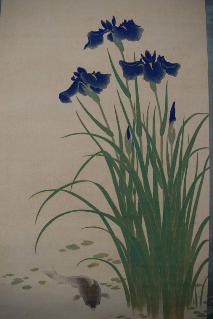 【真作】長谷川玉峰/游鯉図/菖蒲に鯉図/掛軸☆宝船☆Y-812　JM