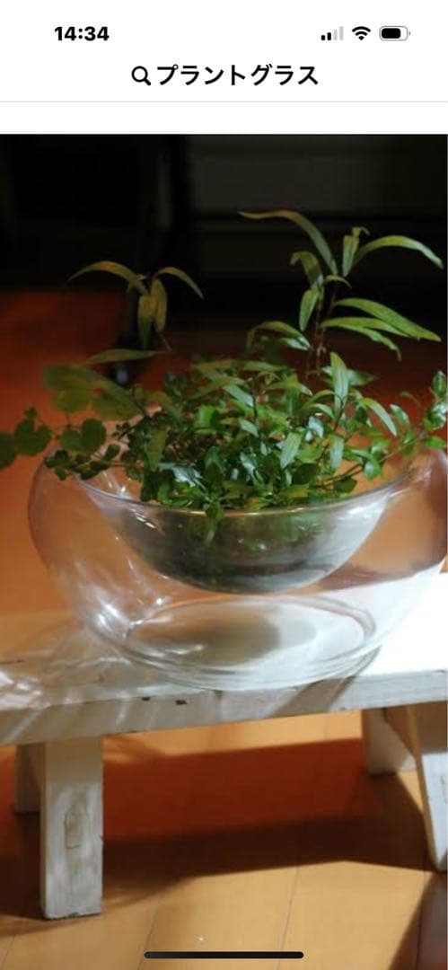 Do!aqua ガラス製円形水槽ロータス3010