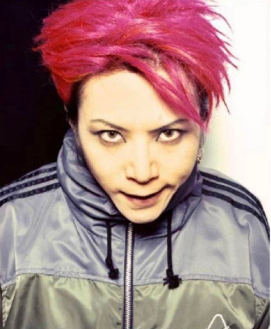 hide着用 LEMONeD ラインパーカー