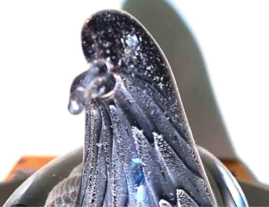 【希少・王室御用達】Marcolin マルコリン ガラスオブジェ 鳥