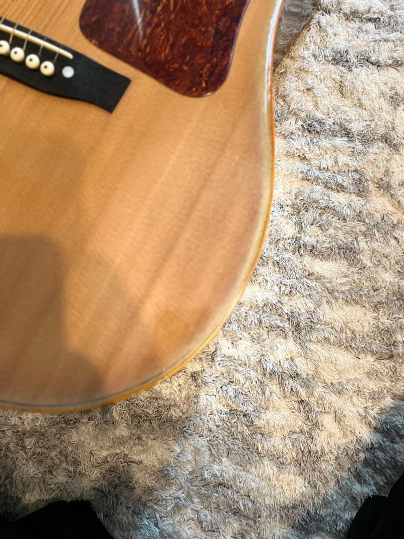 松岡良治　GR-50 エレアコ仕様