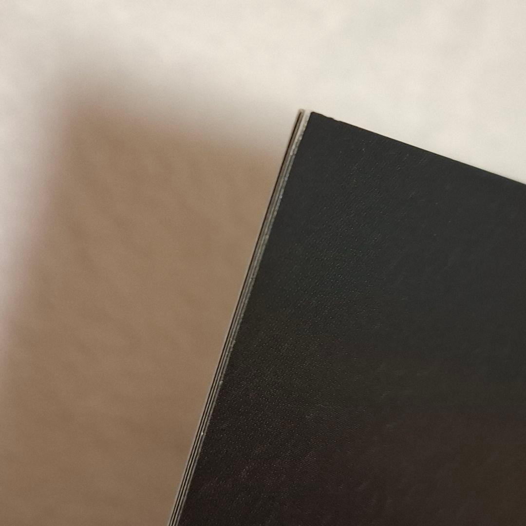 真天地開闢集団 ジグザグ ベレボ 会報