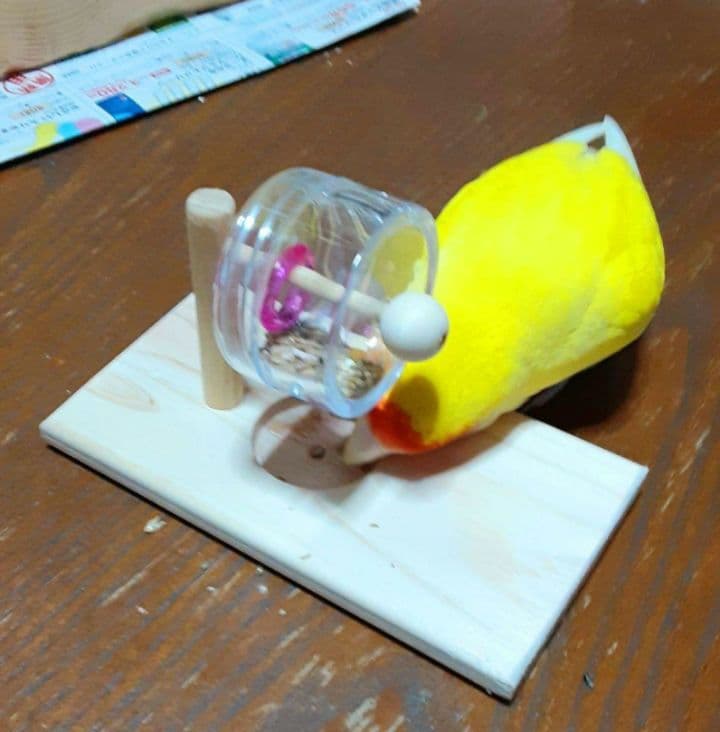 くるくる3点、吊り下げフォージングトイ色々セット　バードトイ　インコ