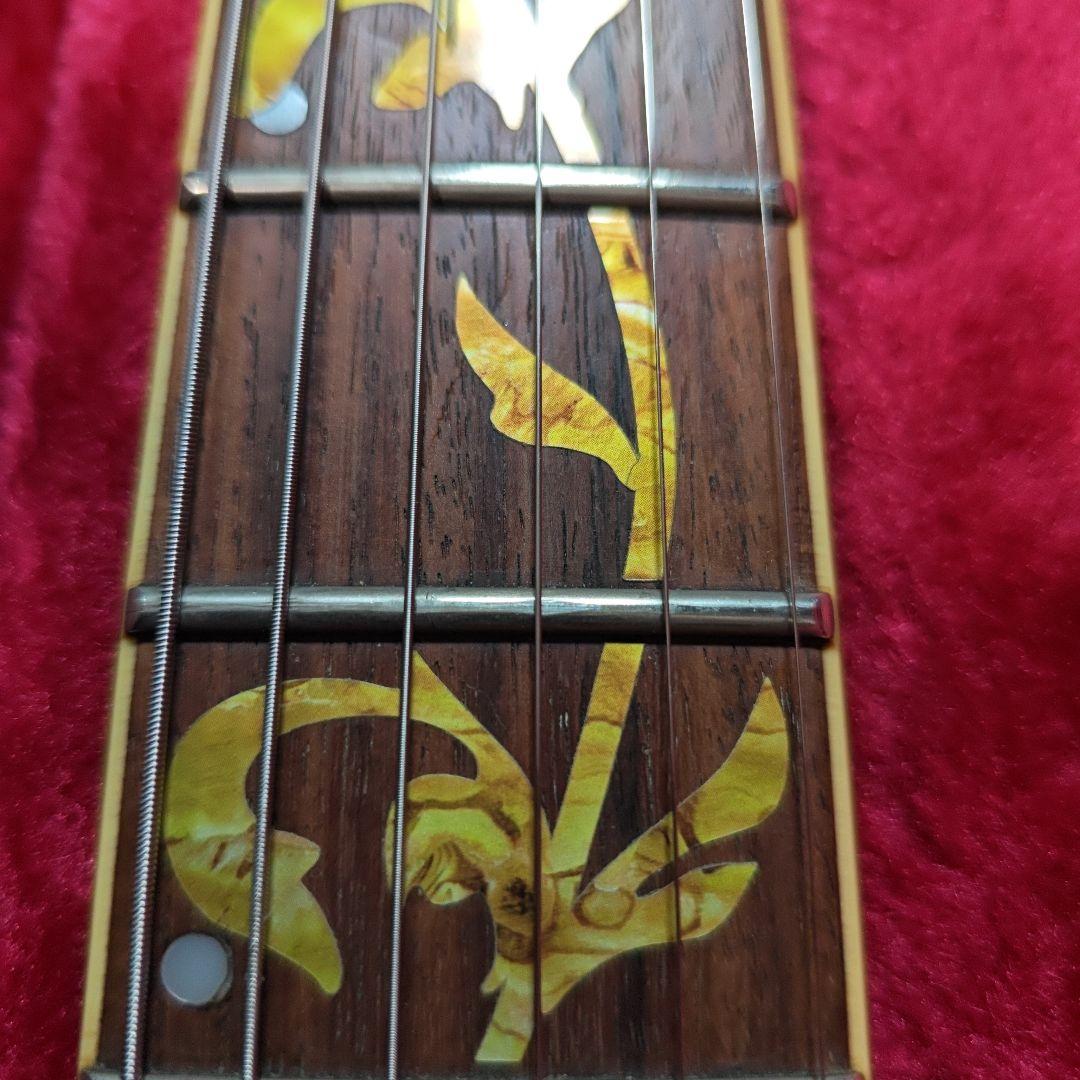 ギター Ibanez RGT6EX2