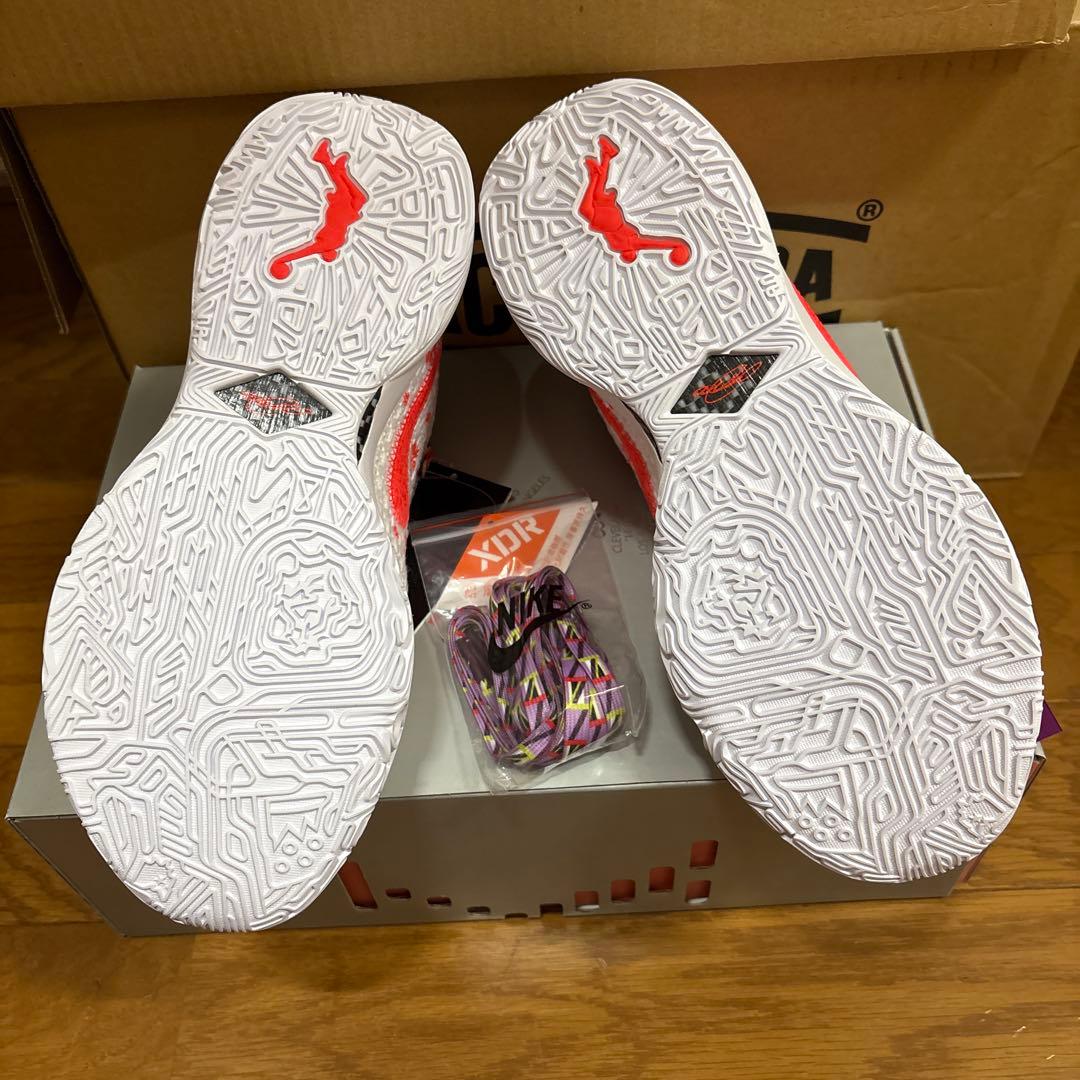 シューズ(男性用) Lebron 20 prm Mimi plange