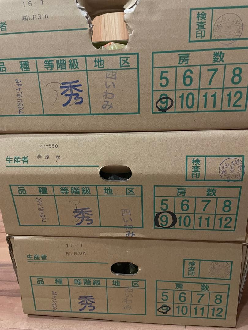 11【島根県産】シャインマスカット約5キロ