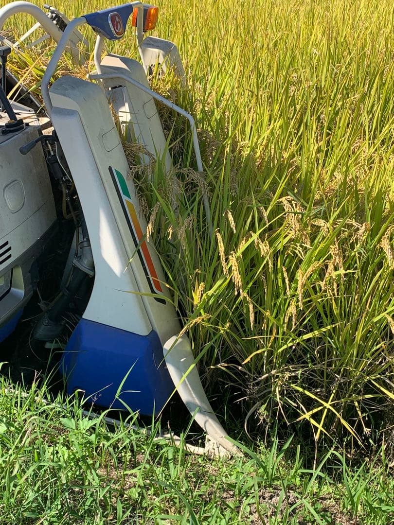 令和7年度産　ヒノヒカリ10kg(玄米)送料込　農家のお米