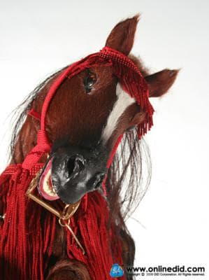 1/6スケール DID究極のリアルホース 全時代対応 E60029 サムライの馬