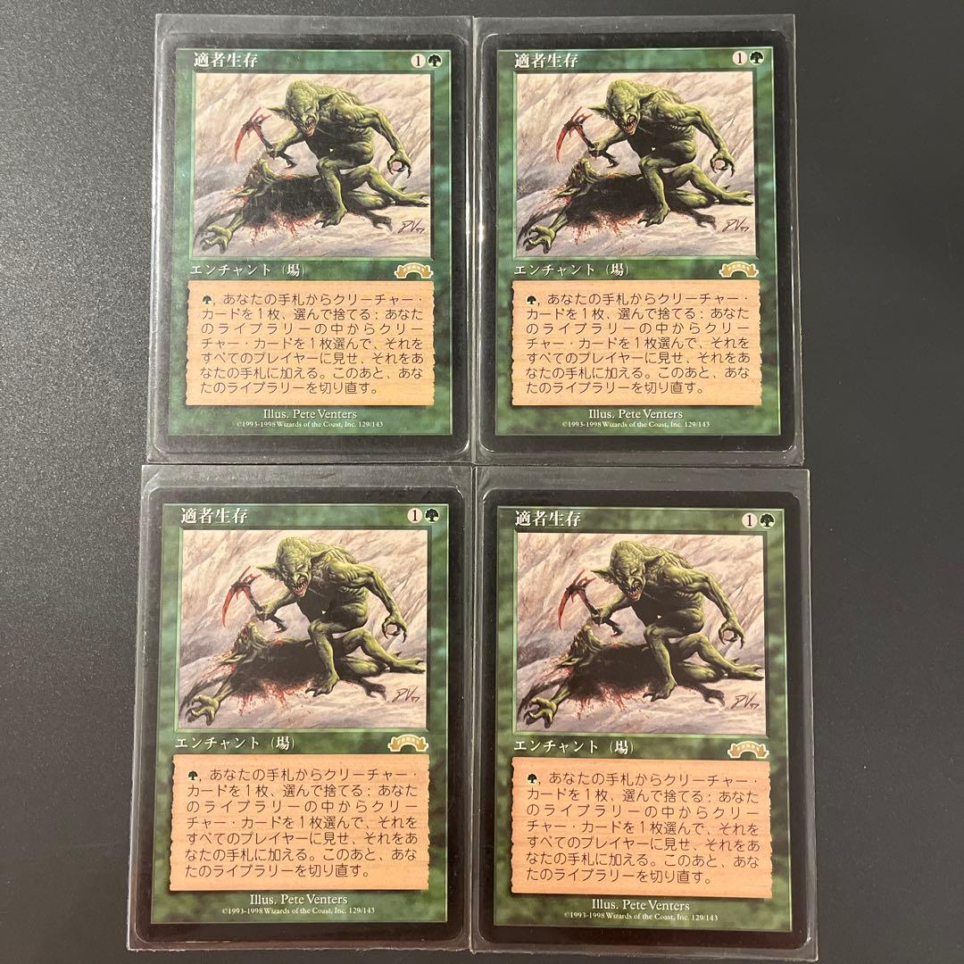 適者生存 4枚セット 日本語