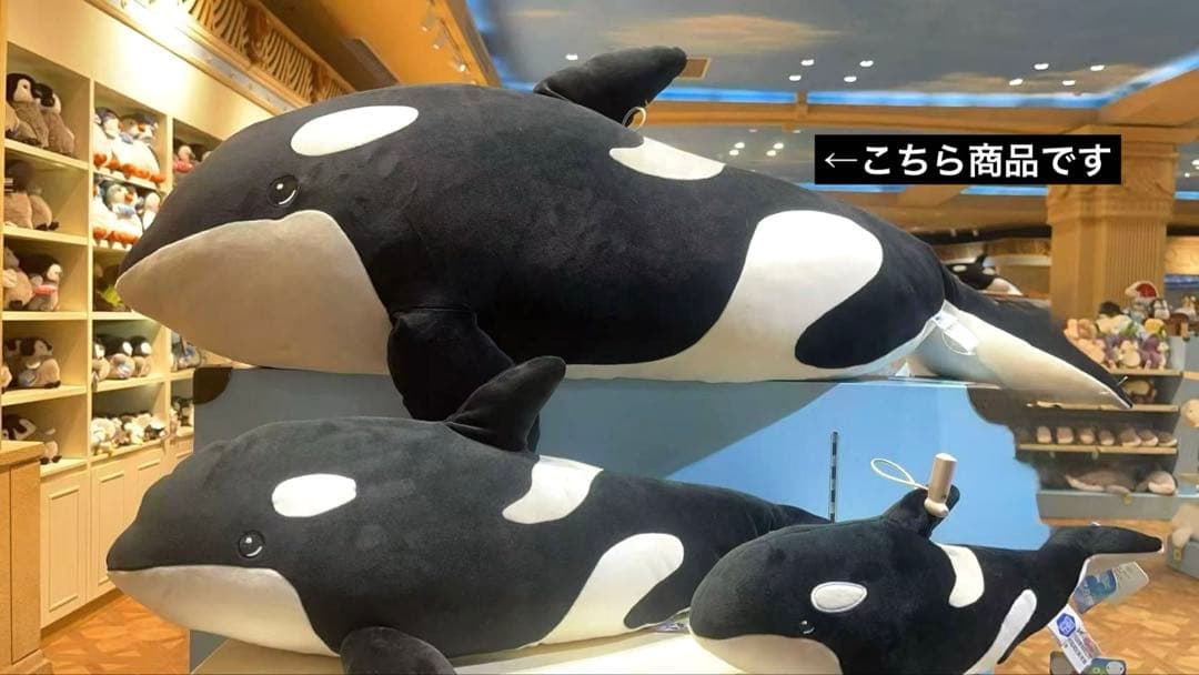 【1点限り】シャチ ぬいぐるみ 上海海昌海洋水族館 抱き枕 シーワールド