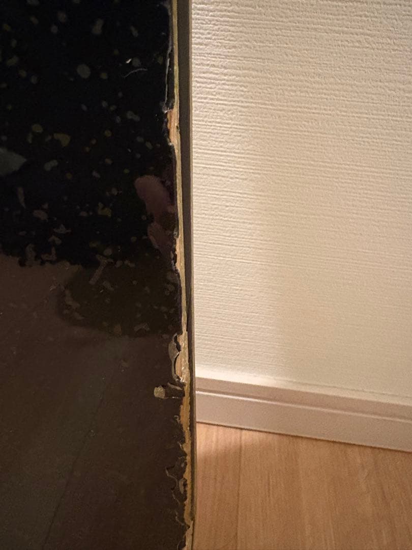 SALOMON Assassin アサシン　153