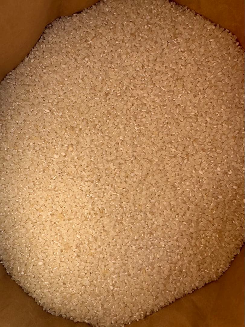 限定１袋　訳あり　無洗米　34kg お米　米　ご飯