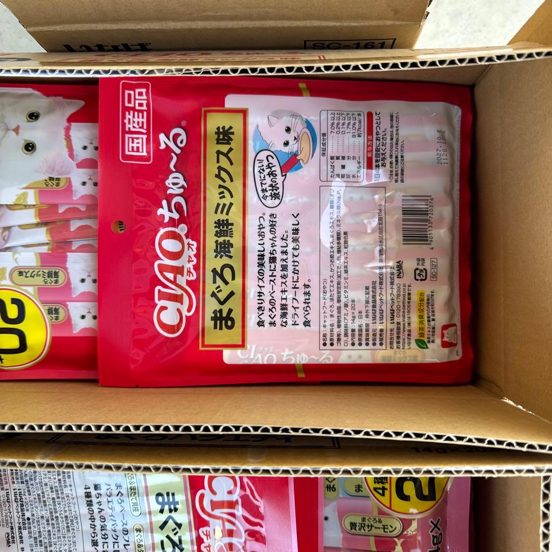 猫　　最終値下げしました！