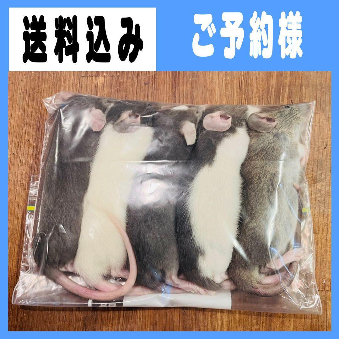 カルロスフォーム