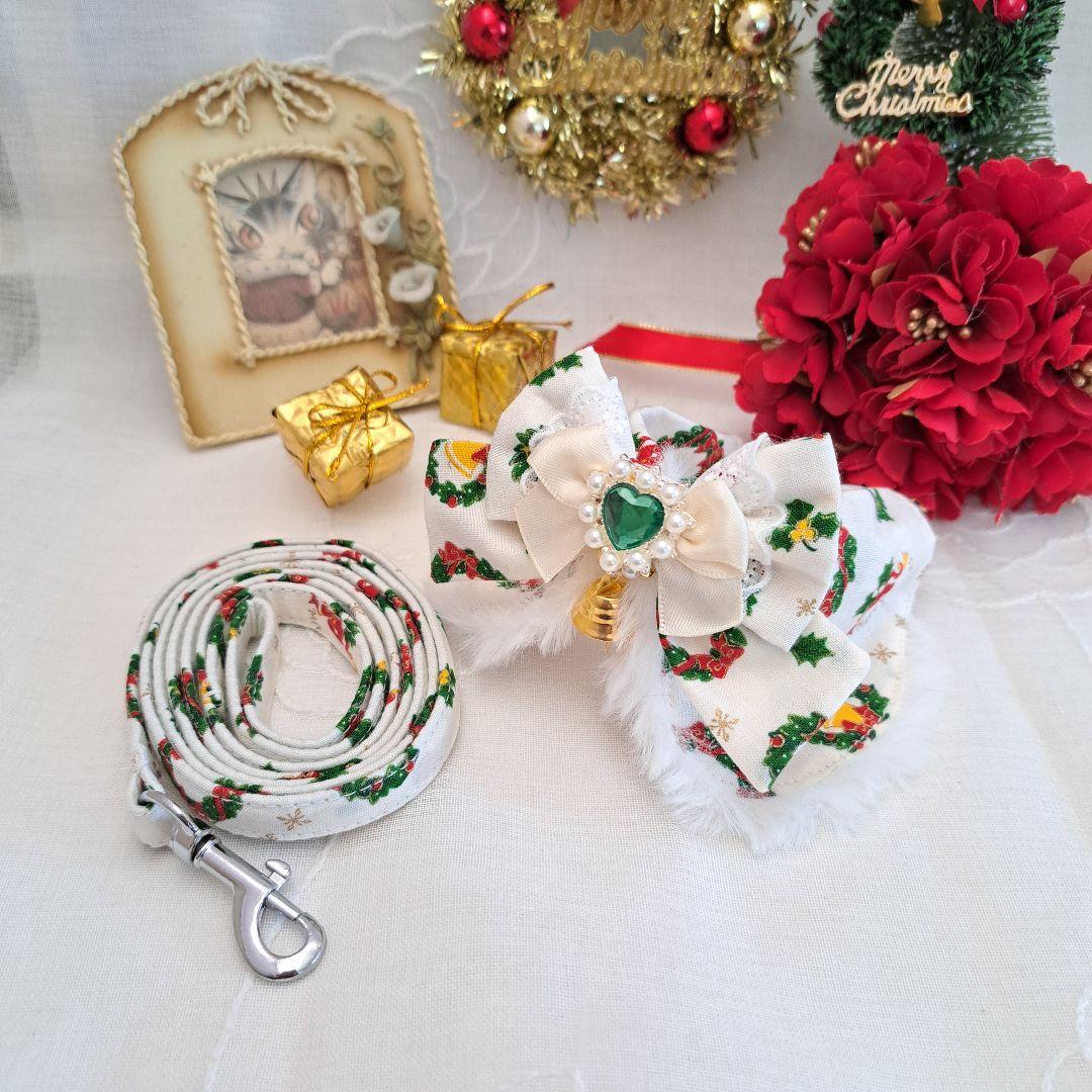 ぶんちゃん、ハロウィン仮装♥️ベッドドレス、わんちゃん猫ちゃん用