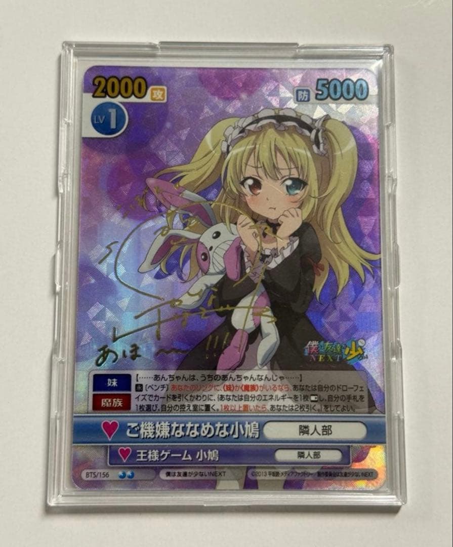 ヴィクトリースパーク　サイン　ご機嫌ななめな小鳩　VS SP