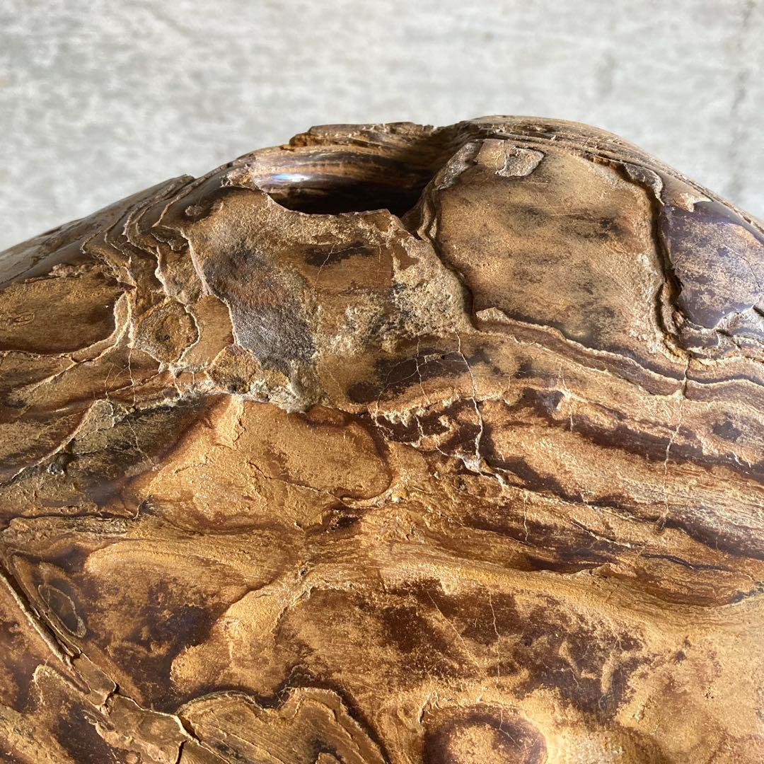 木化石 珪化木 天然 大型 置物 オブジェ 花器 フラワーベース 台座付 レトロ