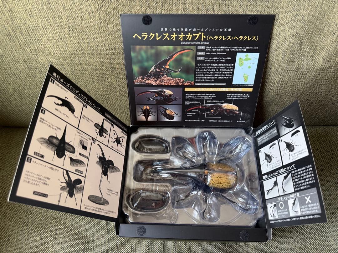 いきもの大図鑑プレミアム　ヘラクレスオオカブト（ヘラクレス・ヘラクレス）