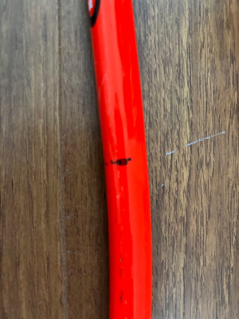 レキ　LEKI ストック