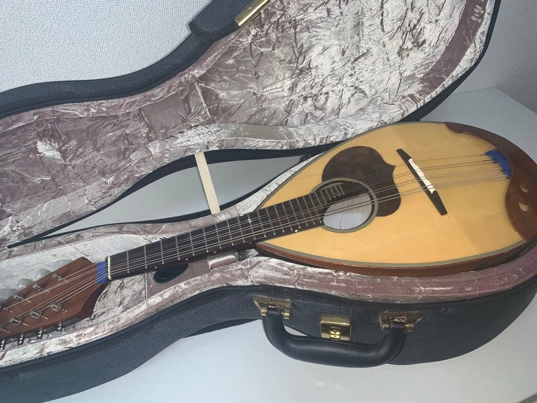 カラーチェマンドリン　No.24 2019年製